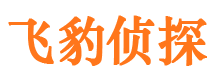 河源外遇出轨调查取证